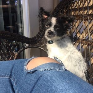 Meet your Posher, Madai